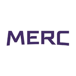 Phoenix Mercury Wordmark Logo 2026 - Present